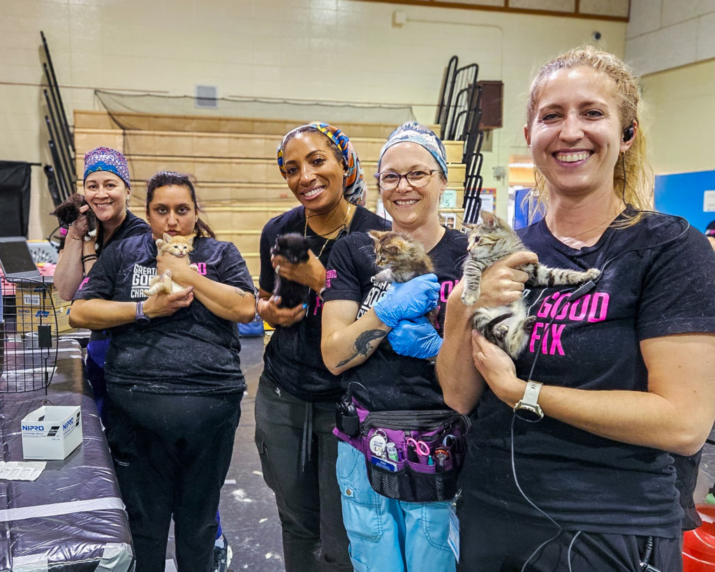 Veterinarian volunteers for Greater Good Charities at a spay and neuter clinic in Alaska. The volunteers are each holding cats.