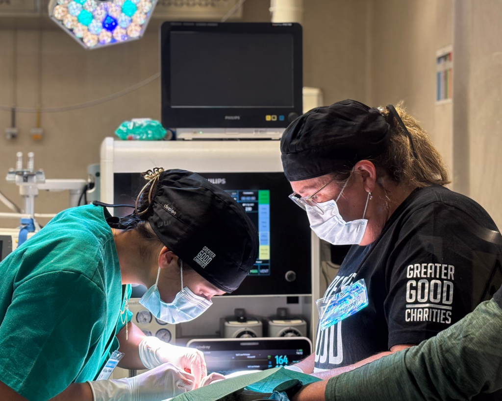 Reaching Veterinary Deserts: Delivering Care to Underserved Communities 