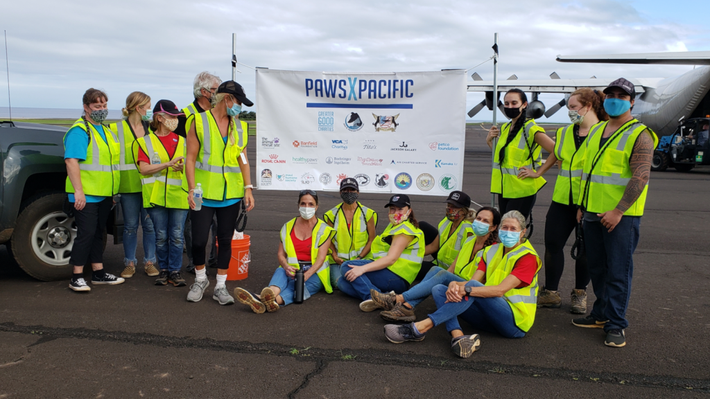 Paws Across the Pacific